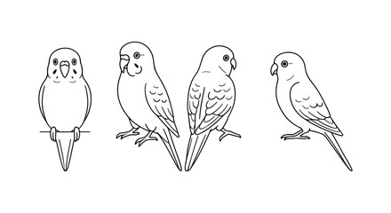 Simple outline of parrot in various poses on white background