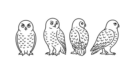 Line art owls in various poses with feather details