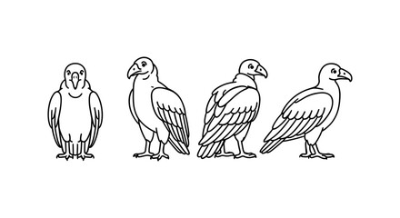 Vulture line art set with different poses for easy customization and coloring