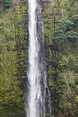 Obraz premium Green Foliage Growing On Cliffs Surrounding Tall Tropical Waterfall