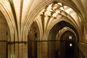 Naklejka premium Salamanca cathedral nave at night