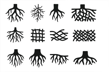 Root Network Icons. Solid style icons of Root Networks: branching system, fibrous roots, taproot, lateral root, spreading mat,