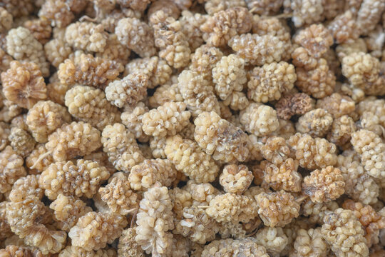 Close up photo of dried white mulberry, selective focus.