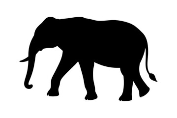 Elephant silhouette vector art