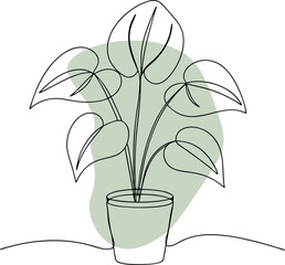 Potted plant with large leaves and abstract background