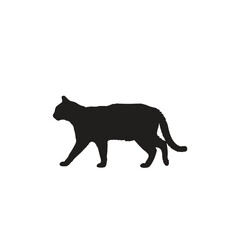 A silhouette of a cat walking to the left side with a white background and a visible tail detail