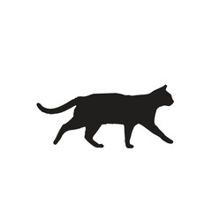 A silhouette of a cat walking across a white background showing the profile of the feline animal body