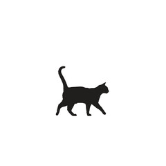 A black silhouette of a cat walking to the right with its tail up on a white background isolated image