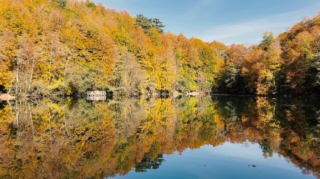 Autumn forest landscape reflection on the water with wooden pier - Autumn landscape in (seven lakes) Yedigoller Park Bolu
