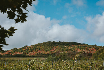 clouds over the field