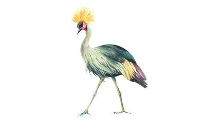 Watercolor Crowned Crane Illustration Hand Painted Tropical Bird Wildlife Art - 1