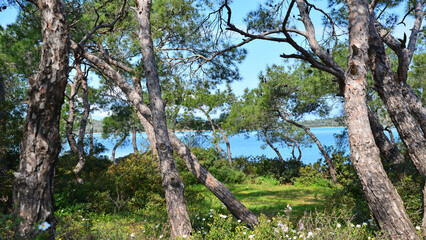 A view from the bays of Ayvalik and Cunda Island, Turkey's tourist attractions