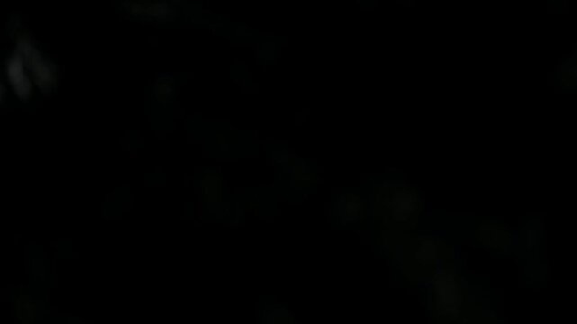 Abstract background featuring out of focus circular light reflections creating a bokeh effect. The dominant colors are silver and black, suggesting a sophisticated and dynamic visual texture. 