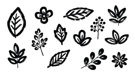 Handdrawn black and white botanical elements and leaves isolated on