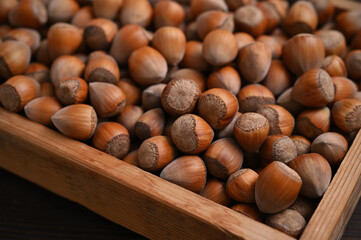 Close-up of whole hazelnuts in a box
