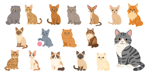 Cute cat breed set ncluding Siamese, Persian Sphynx, Bengal, tabby and Maine Coon, cat breed set illustration perfect for posters, stickers, kids learning, pet lovers and decorative designs.