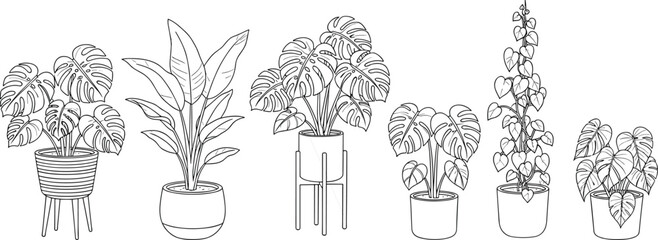 Set of indoor houseplants in pots, including monstera and other tropical foliage, isolated as a black and white line art illustration collection.