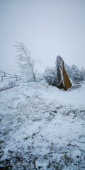 Frozen bent tree and icy rock on a windy mountain slope covered with snow in muted winter light. Harsh cold atmosphere with natural textures and open copy space.