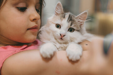 child embraces kitten, tender moment captured as girl embraces her fluffy feline companion indoors