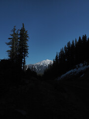 Mt. Bachelor seen through trees in the Deschutes National Forest on a nice fall day.