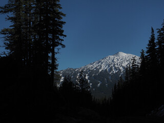 Mt. Bachelor seen through trees in the Deschutes National Forest on a nice fall day.