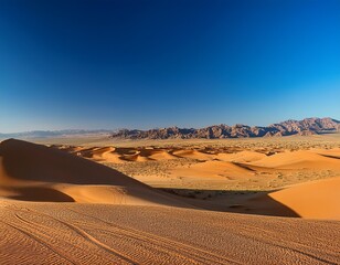 desert scenery under clear blue skies