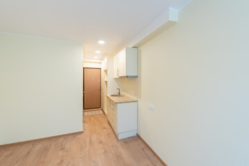 Fototapeta premium Modern Compact Kitchen in a Minimalist Apartment Interior With Wooden Floor