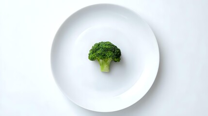 Fresh green broccoli floret centered on round white plate, minimalist food presentation for healthy eating, nutrition, and diet concepts.