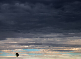 storm clouds at sunset with patch of blue sky and single palm tree
