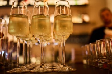 Row of Champagne Flutes Filled with Bubbly Wine at a Party