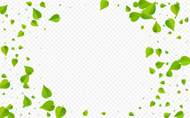 2560x1600ggr37__list_vesna_1_01.eps