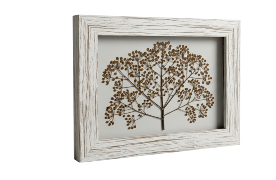 A beautifully preserved dried botanical specimen resembling a tree, with intricate seed pods, displayed in a rustic white distressed wooden frame against a dark background