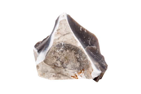 An elegant flint mineral on a white isolated background, showcasing a refined gray surface with intricate natural markings and a glossy polish. Suitable for luxury decor or educational use.