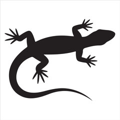 Lizard Vector