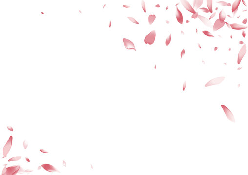 2400x170035__Pudra_sakura1_01.eps