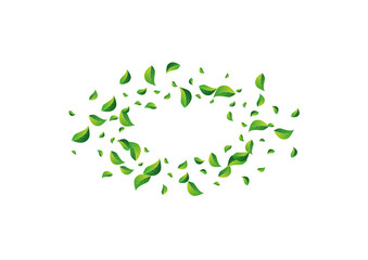 Green_Leaves_white_background_438.eps