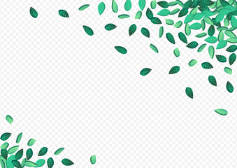 green_leaf_transparent_background462.eps