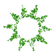 Green_Leaves_white_background_1412.eps