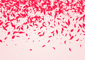 Pink_Petal_Flying_Vector_245.eps