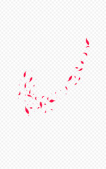 Pink_Petal_Flying_Vector_Transparent_1333.eps