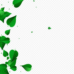 Untitled-10-03__list_2_01.eps