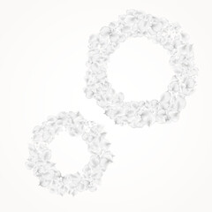 White_petals_gray_background_637.eps