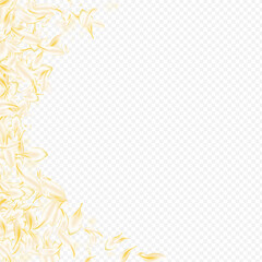 Yellow_petals_transparent_background_307.eps