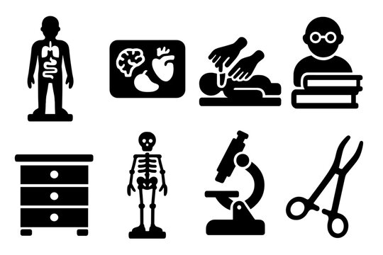 Antique Medical Icons. Solid style icons of Antique Medical Study Tools: Anatomical Model, Papier-M&acirc;ch&eacute; Organs, Dissection, Study,