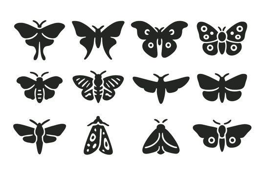 Moth Icon Collection. Solid style icons of moth relatives: luna moth, hawk moth, atlas moth, emperor moth, silk moth, tiger moth,