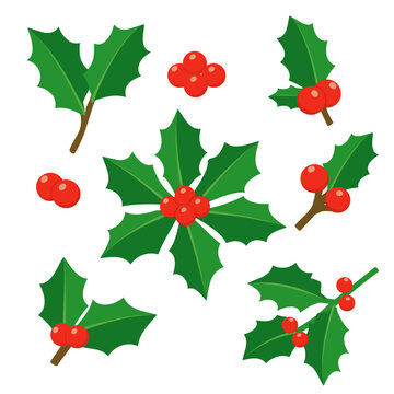 Flat vector set of Christmas holly branches, individual leaves, and bright red berries, isolated on a white background. Essential collection for creating festive holiday patterns, greeting cards, wint
