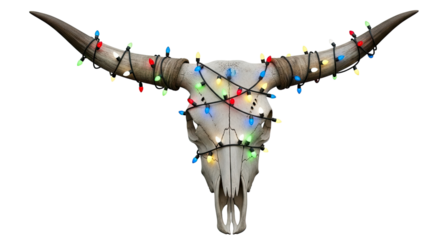 Symmetrical front view of a weathered bull skull decorated with a tangled garland of colorful, glowing Christmas lights, creating a unique holiday display on a black background