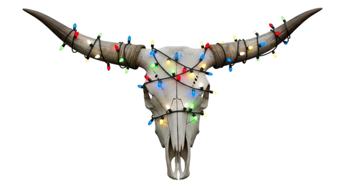 Symmetrical front view of a weathered bull skull decorated with a tangled garland of colorful, glowing Christmas lights, creating a unique holiday display on a black background
