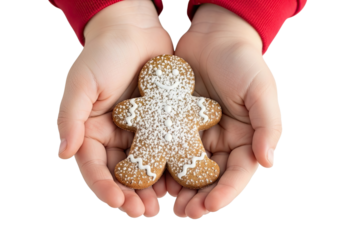 A child's hands in a red sweater gently hold a smiling gingerbread man cookie decorated with icing and powdered sugar, isolated on a black background for the holiday season