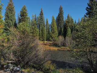 A beutiful river runs through the Oregon forest on a nice fall day.